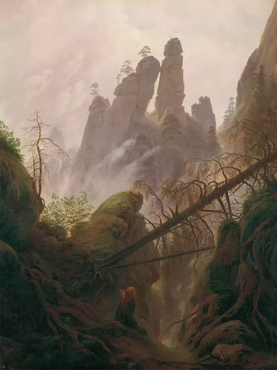 Kunstdruck von Felsenschlucht in den Elbsandsteingebirgen