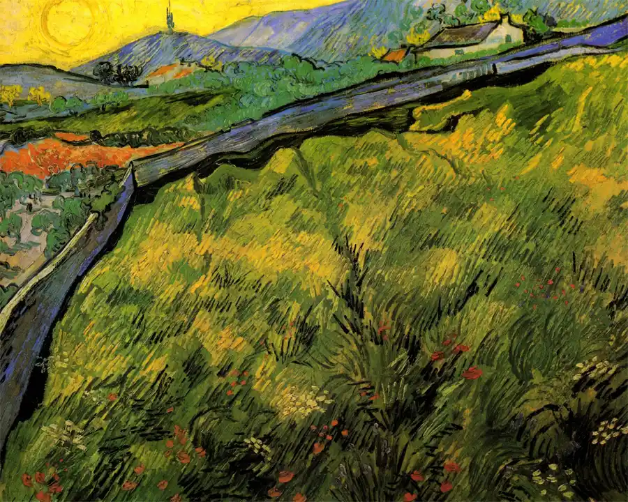 Kunstdruck von Feld mit Frühlingsweizen bei Sonnenaufgang