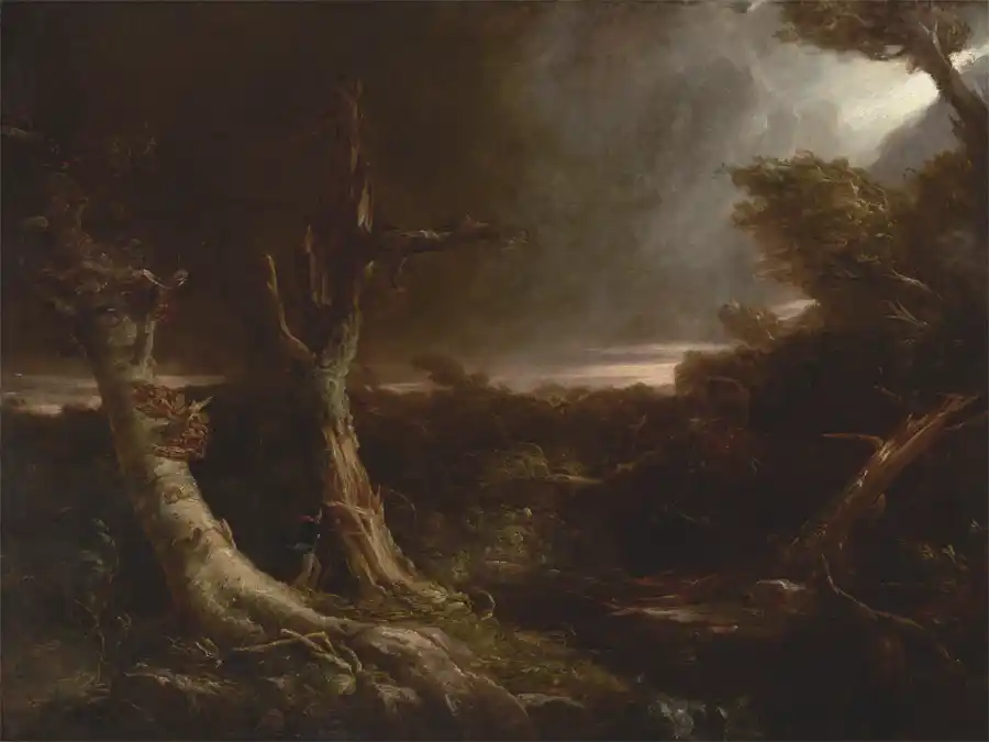 Riproduzione dell'opera Un Tornado nella Wilderness di Thomas Cole.
