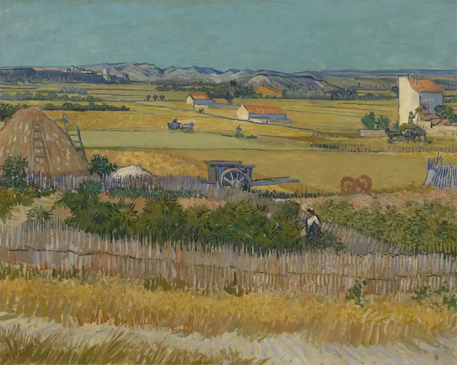 Vendemmia a La Crau, con Montmajour sullo Sfondo di Vincent van Gogh.